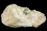 Yellow-Green Fluorapatite Crystal in Calcite - Ontario, Canada #137096-1